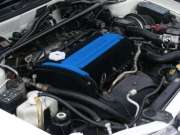 Flocked Evo rocker/engine cover